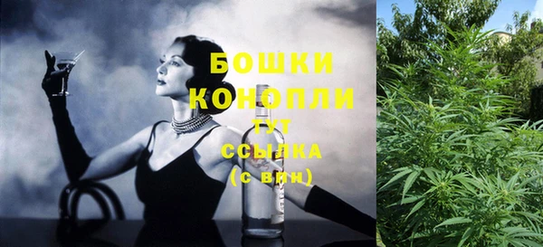 PSILOCYBIN Алексеевка