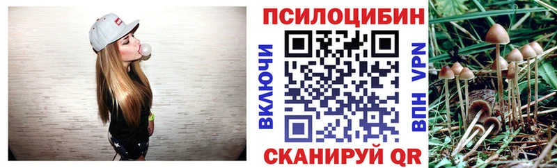 Псилоцибиновые грибы Magic Shrooms  Юрьевец 